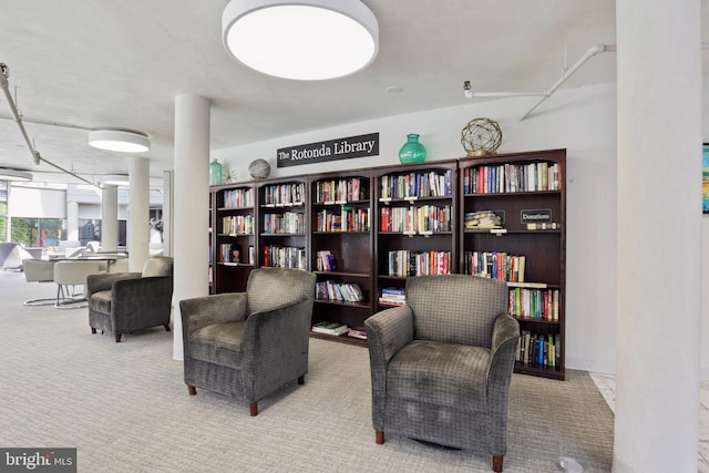 sitting room featuring carpet