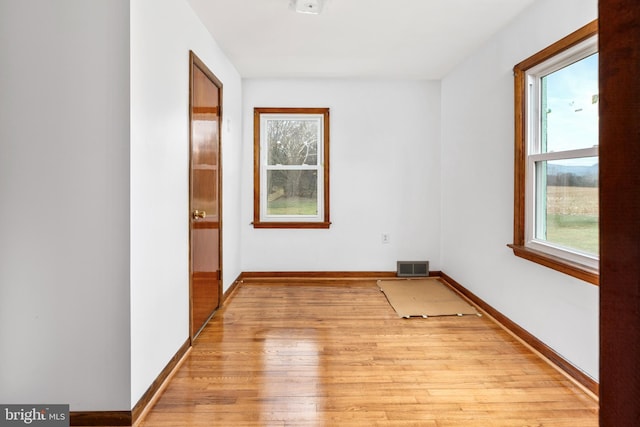 spare room with a wealth of natural light and light hardwood / wood-style floors