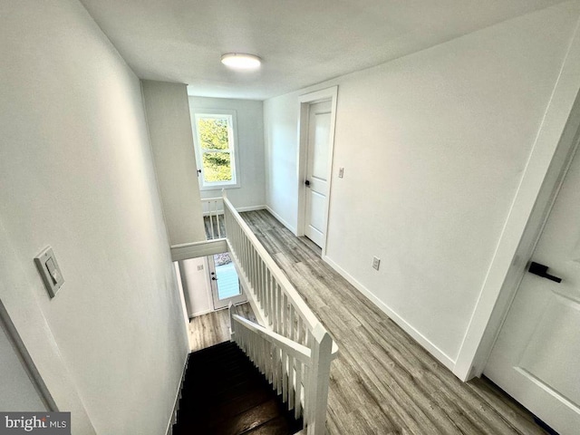 stairs with hardwood / wood-style floors