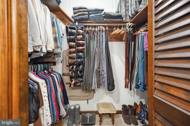 walk in closet with carpet flooring