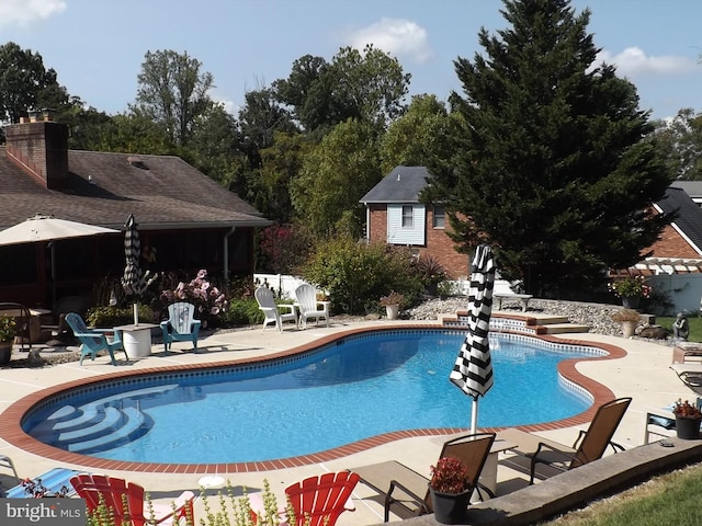 view of pool featuring a patio area