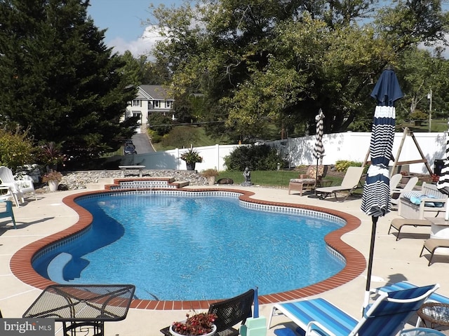 view of swimming pool featuring a patio area