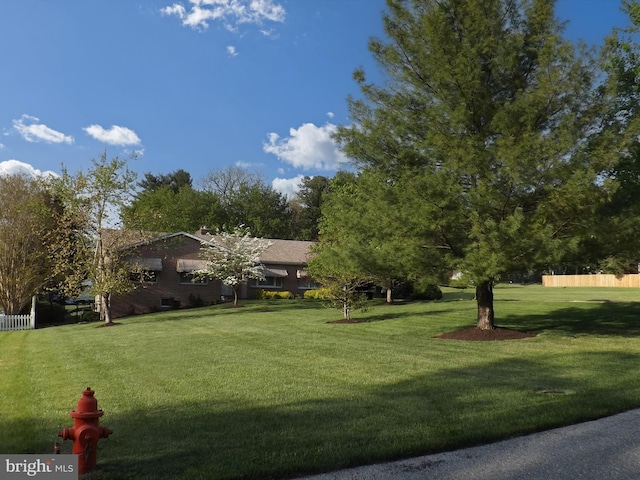 view of community featuring a yard