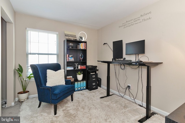 living area featuring carpet floors