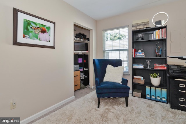 sitting room featuring light colored carpet