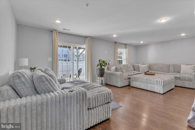 living room featuring wood-type flooring and a wealth of natural light