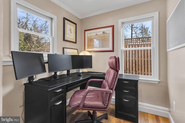 office space with ornamental molding and light hardwood / wood-style floors