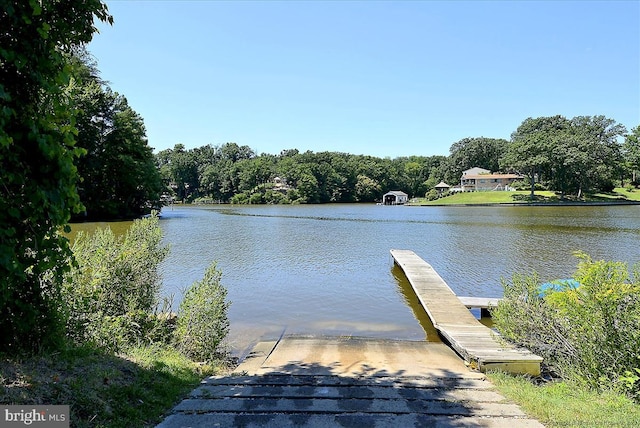 dock area with a water view