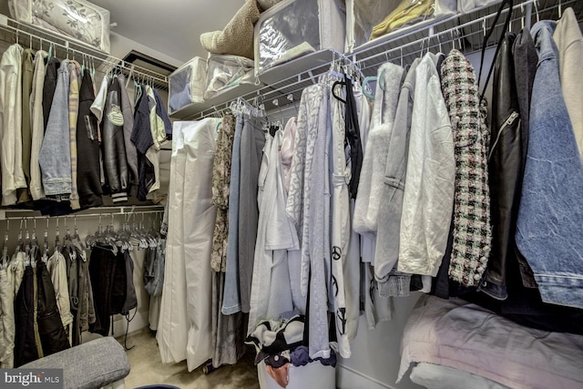 walk in closet featuring carpet flooring