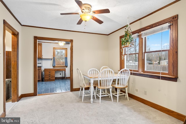 carpeted dining area featuring ceiling fan, crown molding, and a textured ceiling