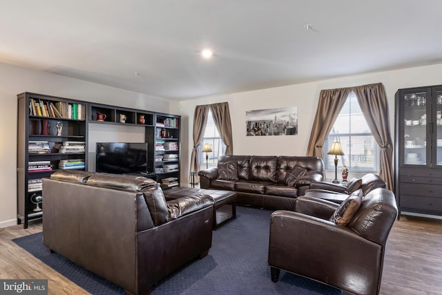 living room with hardwood / wood-style flooring