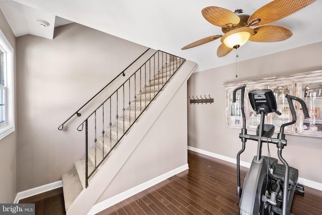 workout room with ceiling fan and dark hardwood / wood-style floors