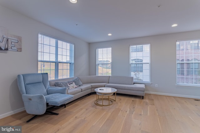 living room with light hardwood / wood-style floors