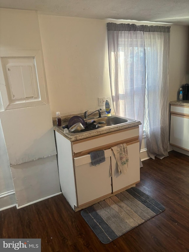 kitchen with sink and dark hardwood / wood-style floors