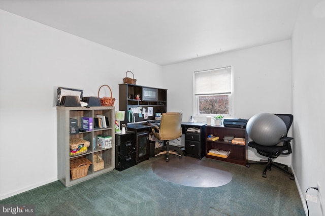 office space featuring carpet