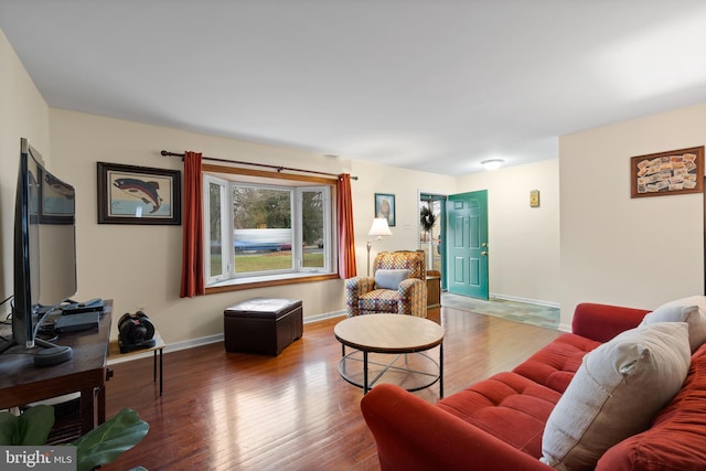 living room featuring wood-type flooring