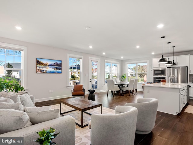 living room featuring sink and dark hardwood / wood-style floors