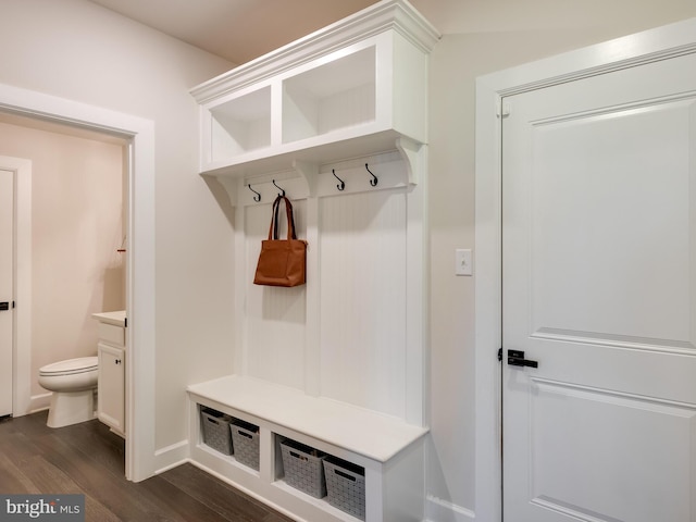 mudroom featuring dark hardwood / wood-style floors