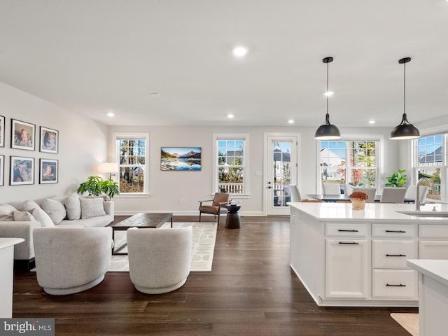 living room with dark hardwood / wood-style flooring and sink