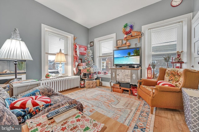 living room with hardwood / wood-style floors and radiator