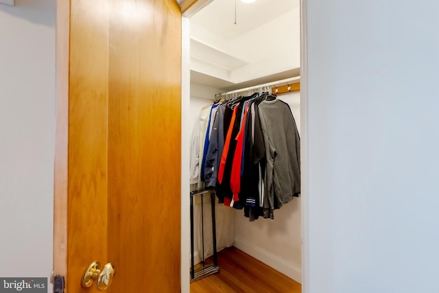 spacious closet featuring wood-type flooring