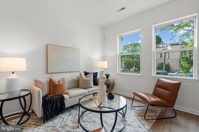 living room with plenty of natural light and hardwood / wood-style floors