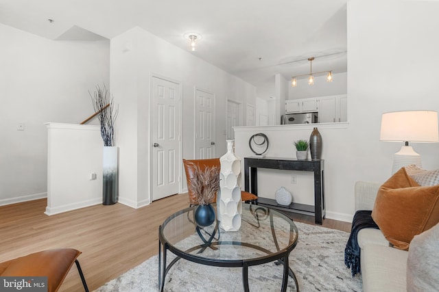 living room featuring light hardwood / wood-style flooring