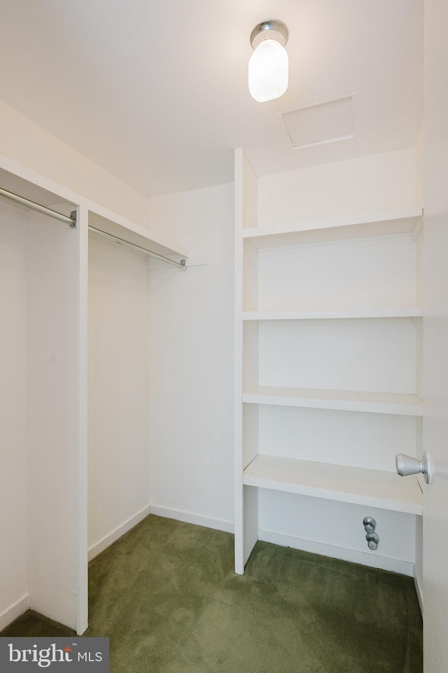 spacious closet with dark colored carpet