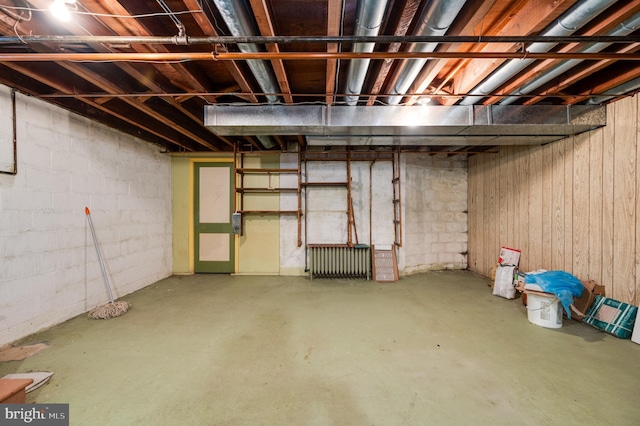 basement with wooden walls