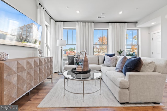 living room with hardwood / wood-style floors