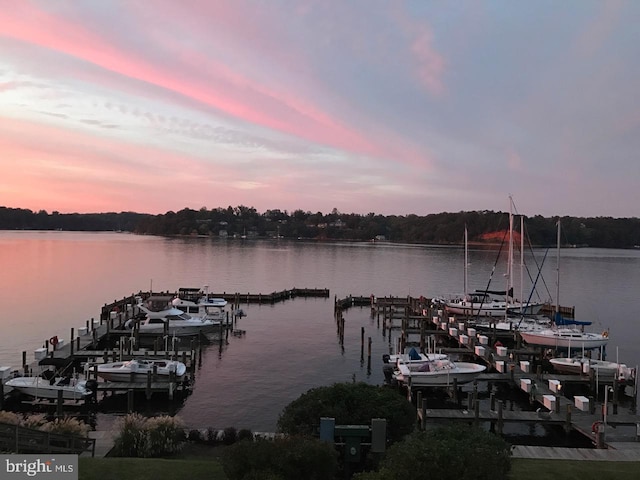 dock area featuring a water view