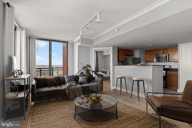 living room with floor to ceiling windows, crown molding, and light hardwood / wood-style flooring