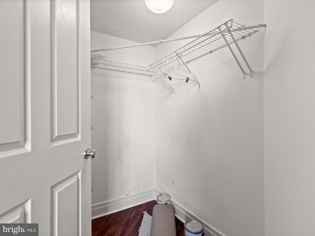 walk in closet with hardwood / wood-style flooring