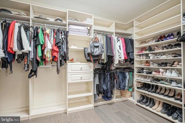 spacious closet featuring hardwood / wood-style flooring