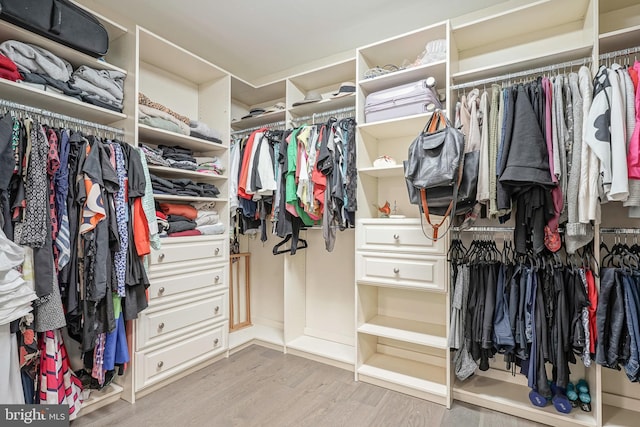 spacious closet featuring light hardwood / wood-style flooring