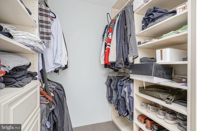 walk in closet with hardwood / wood-style floors