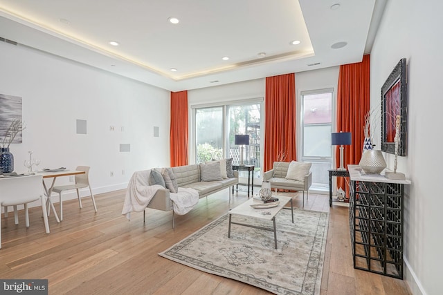 living room featuring light hardwood / wood-style flooring and a raised ceiling