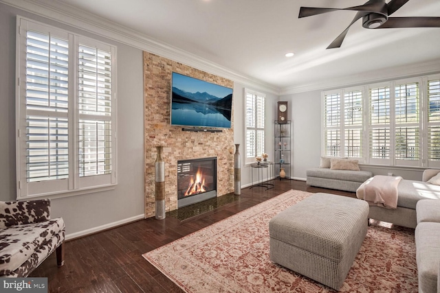 living room with crown molding, a large fireplace, dark wood-type flooring, and ceiling fan