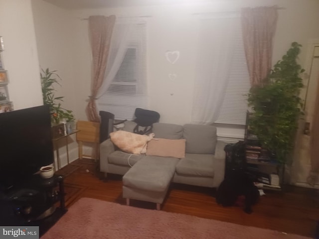 living room featuring dark wood-type flooring