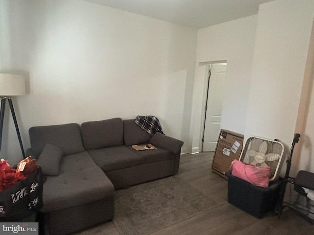 living room with dark hardwood / wood-style floors