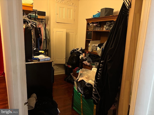 walk in closet featuring dark wood-type flooring