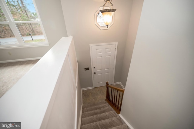 staircase featuring carpet