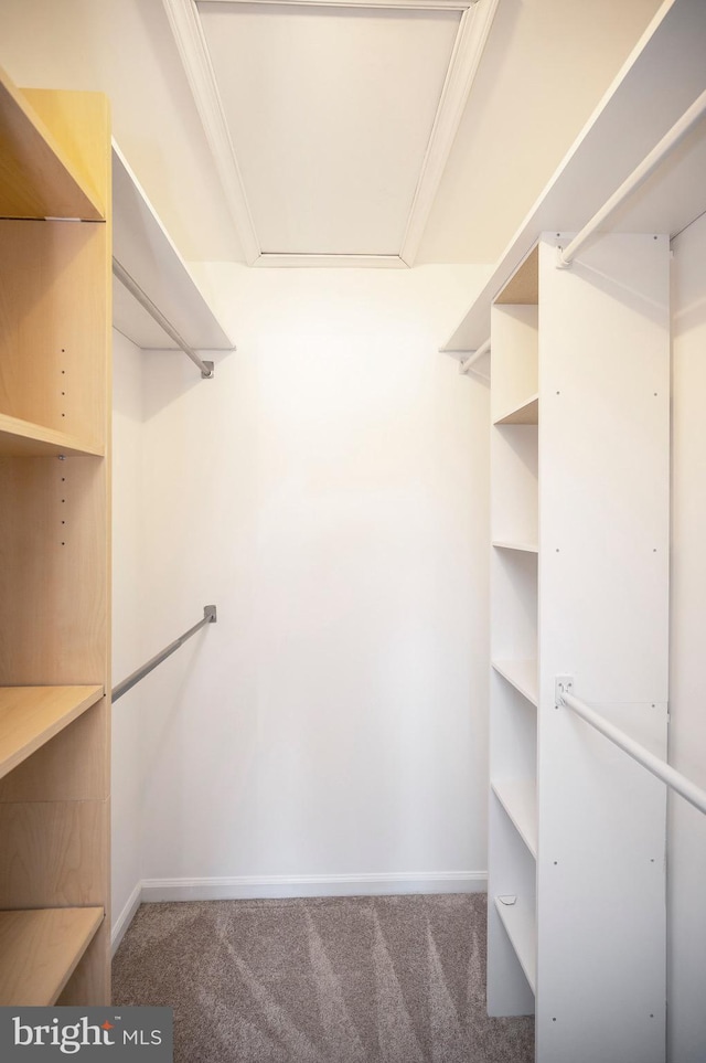 spacious closet with dark colored carpet