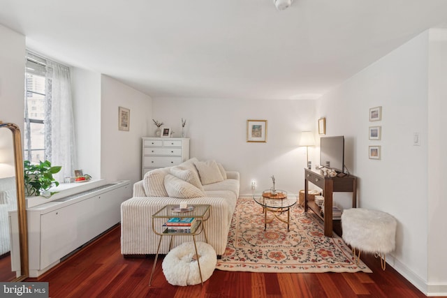 living room with dark wood-type flooring