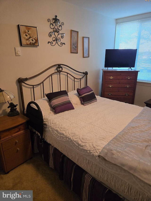 bedroom with carpet floors