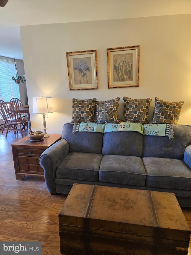 living room with hardwood / wood-style flooring