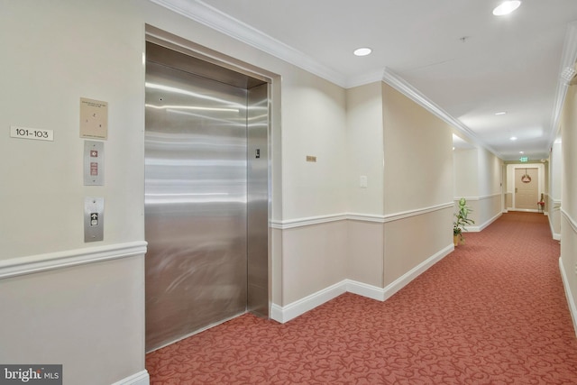 corridor with carpet, crown molding, and elevator