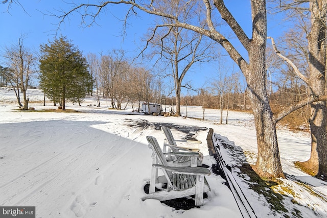 view of yard covered in snow