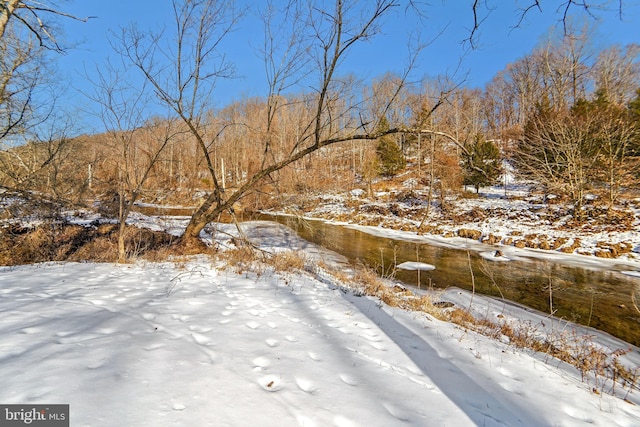 view of snowy yard