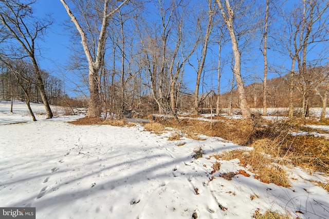 view of snowy yard